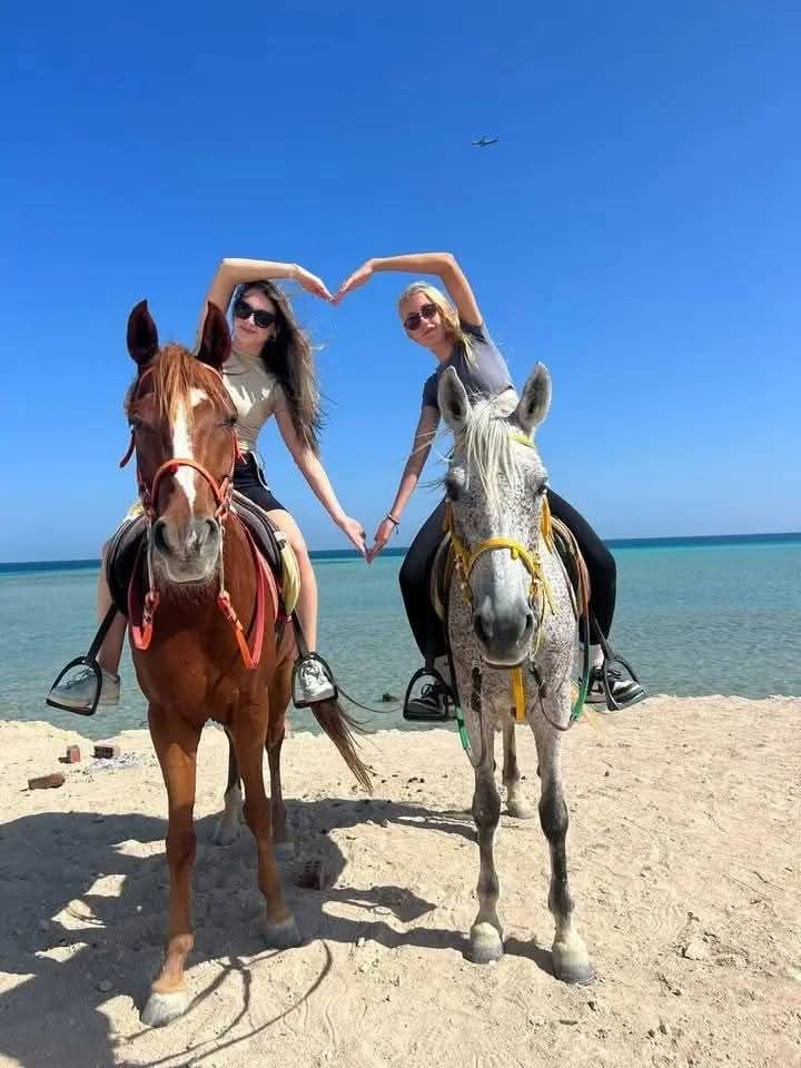 Rehana Horse moment 4